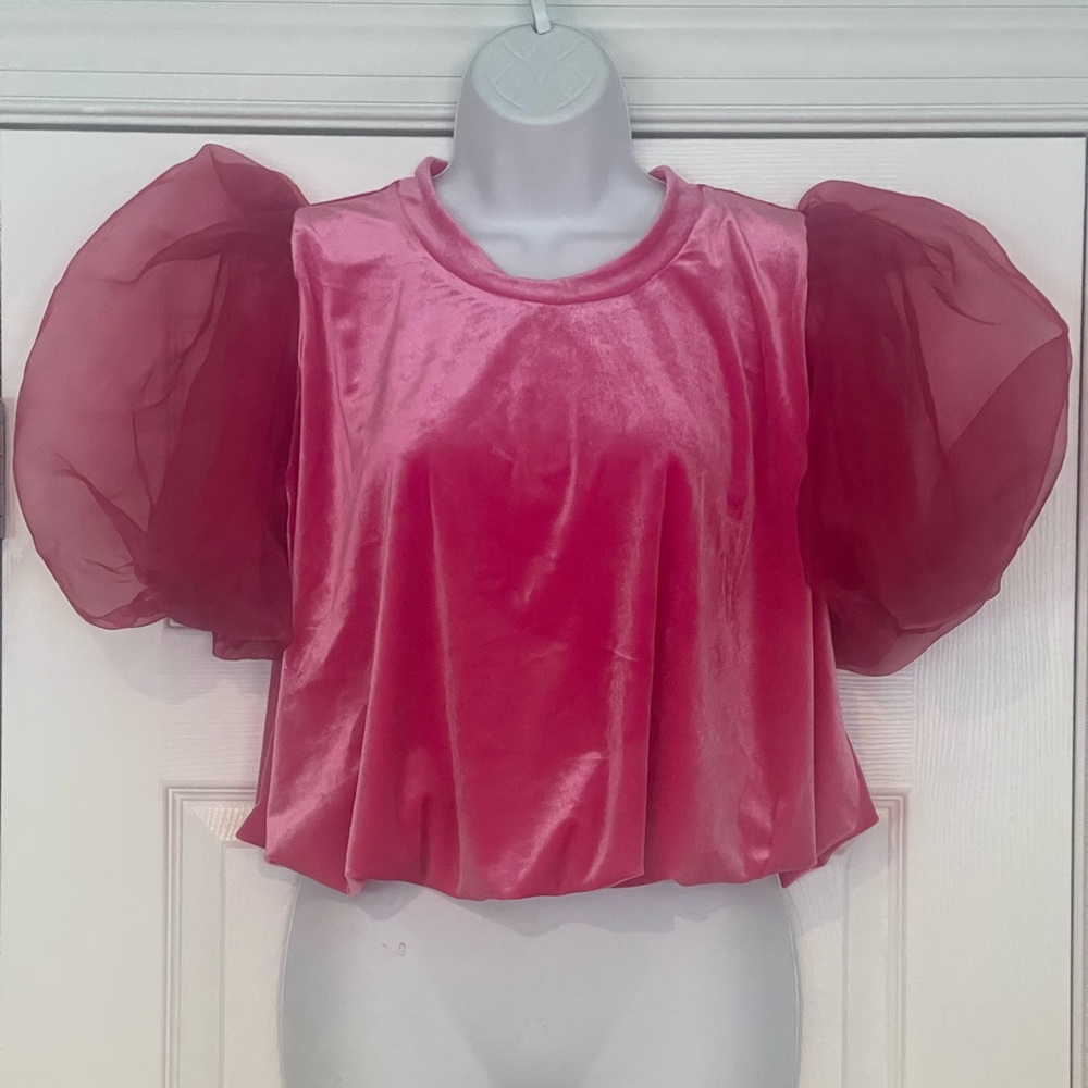 Anthropologie /Maeve velvety looking.